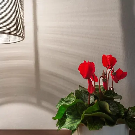Apartamento Passega Modern Con Garage! Ferrara
